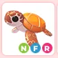 NFR Sea Turtle