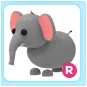 R Elephant