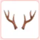 Reindeer Antlers