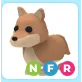 NFR Dingo