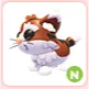 N Munchkin Cat