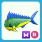 MR Mahi Mahi