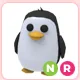 NR Penguin