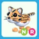 NR Ocelot