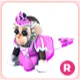 R Princess Capuchin Monkey