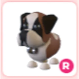 R St. Bernard