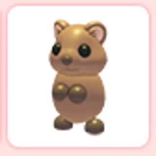 Quokka