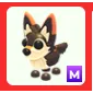 M Mexican Wolf