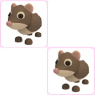 2x Shrew
