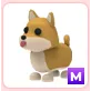 m shiba inu
