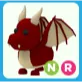 NR Dragon