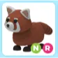 NR Red Panda