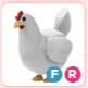 FR Chicken
