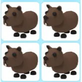 4x Capybara