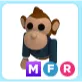 MFR Business Monkey