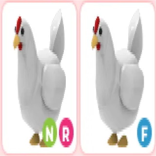 Chicken