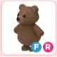 FR Brown Bear