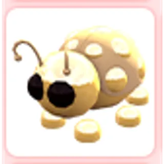 Golden Ladybug