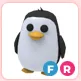 FR Penguin