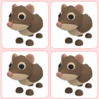 4x Shrew