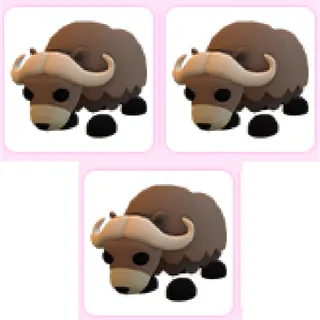 3x Musk Ox