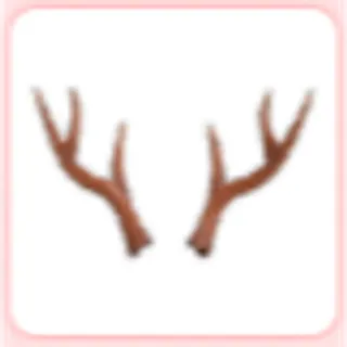 Reindeer Antlers