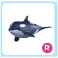 R Orca