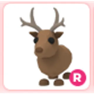 R Reindeer