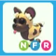 NFR African Wild Dog