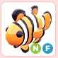 NF Clownfish