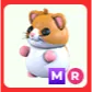 MR Hamster