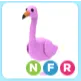 Pet | NFR Flamingo