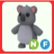 nf koala