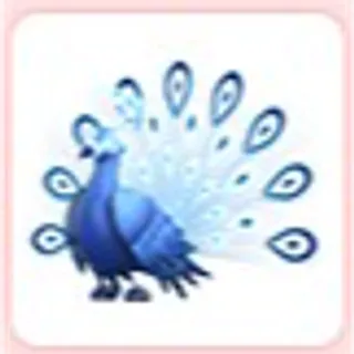 Moonbeam Peacock