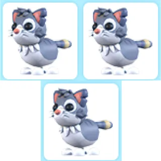 3x Alley Cat