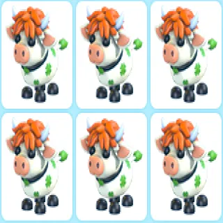 6x Clover Cow