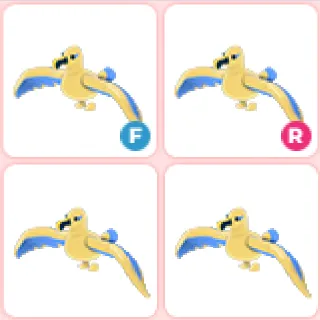 4x Golden Albatross