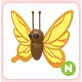 N Yellow Butterfly