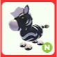 N Ash Zebra