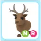 NR Reindeer