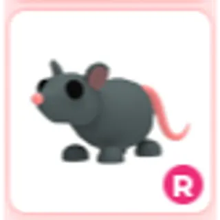 R Rat