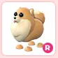 R Pomeranian