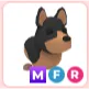 MFR Australian Kelpie