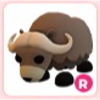R Musk Ox