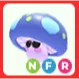 NFR Mushroom Friend