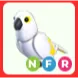 NFR White Amazon