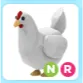 NR Chicken