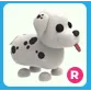 R Dalmatian