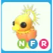 NFR Sunrise Duckling