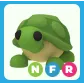 NFR Turtle